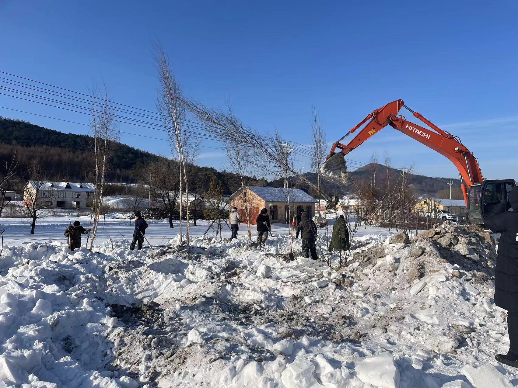 尊龙凯时·(中国)AG旗舰厅官网苗圃建设忙 寒冬“不打烊”(图1)