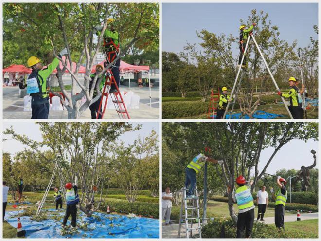 尊龙凯时ag旗舰厅临沂市第三届城市精细化管理园林绿化行业技能竞赛成功举办(图3)