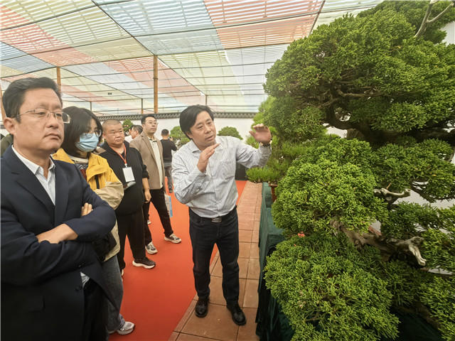 尊龙凯时·(中国)AG旗舰厅官网以节会友、以苗聚商！第十九届泰山苗木花卉交易会开(图3)